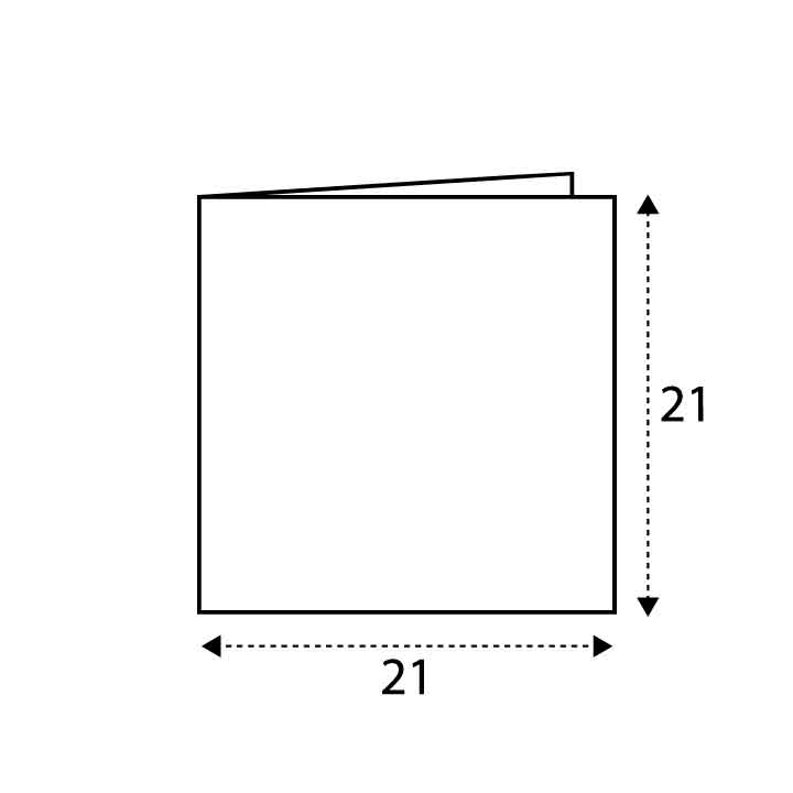 21 x 21