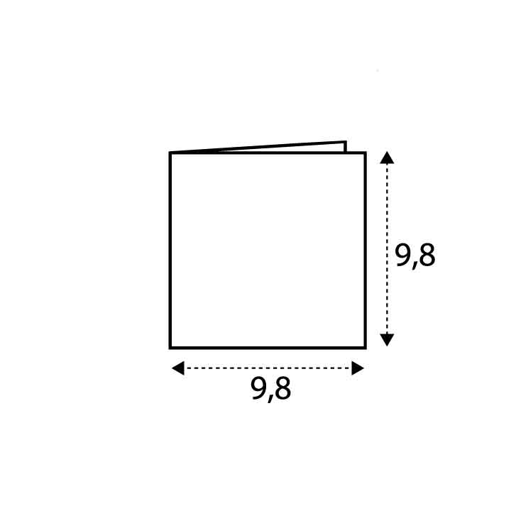 9.8 x 9.8