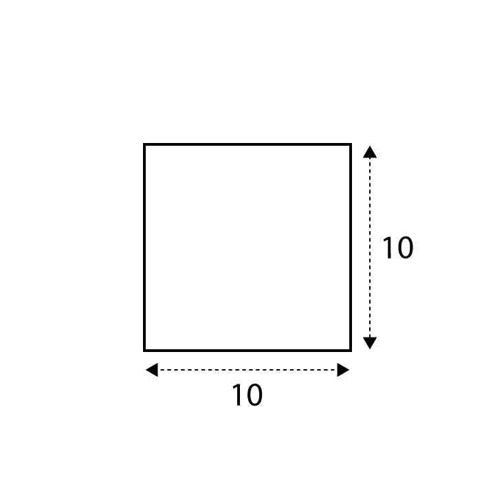 10 x 10