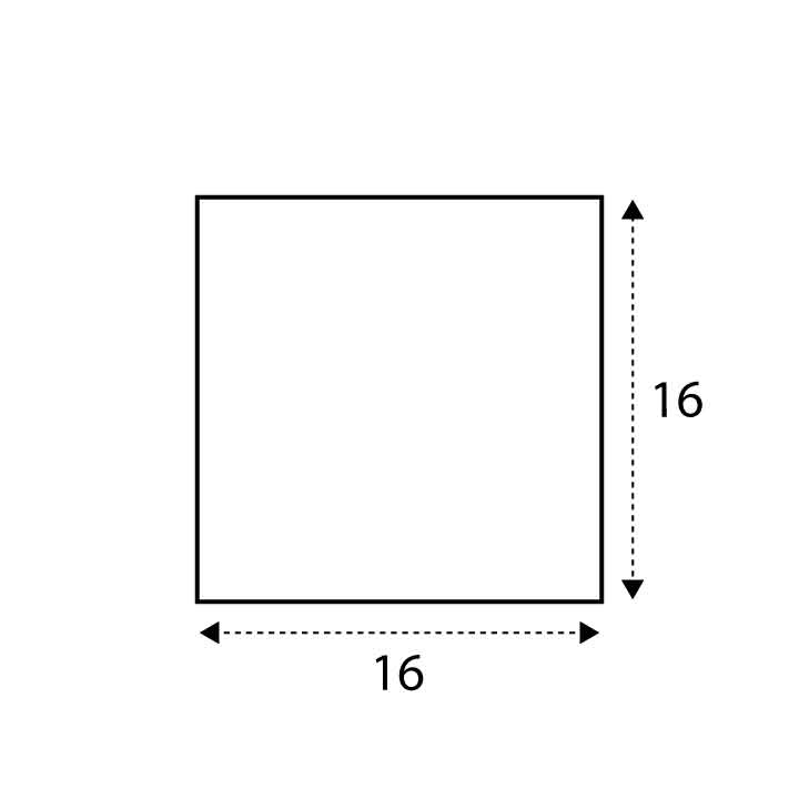 16 x 16