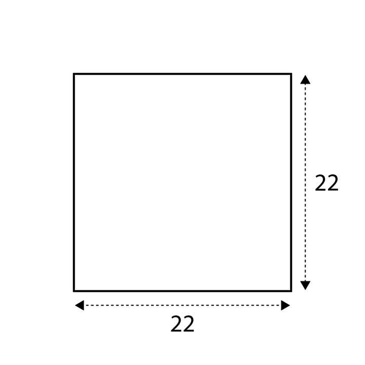 22 x 22