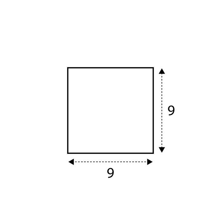 9 x 9